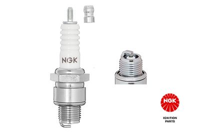 Spark Plug NGK 5510