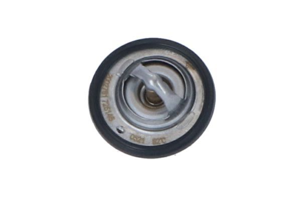 NRF 725146 Thermostat, coolant