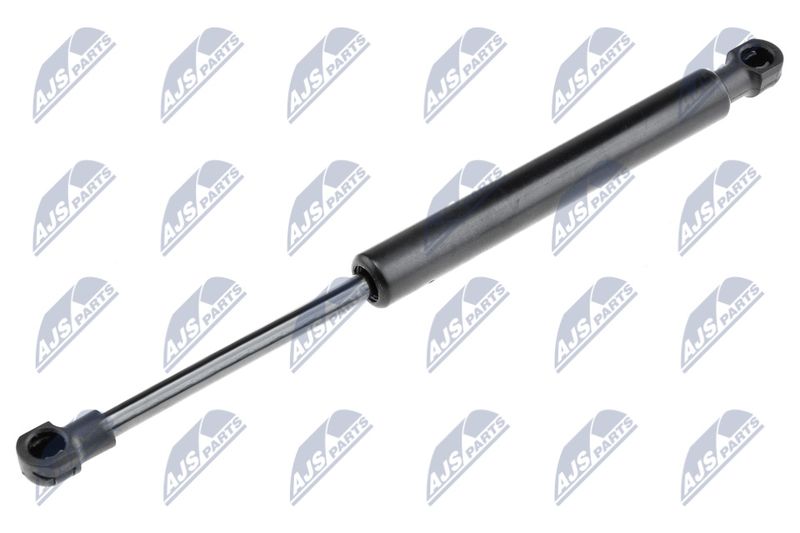 NTY AE-AR-000 Gas Spring, boot/cargo area