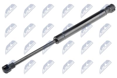 Gas Spring, boot/cargo area NTY AE-AR-002