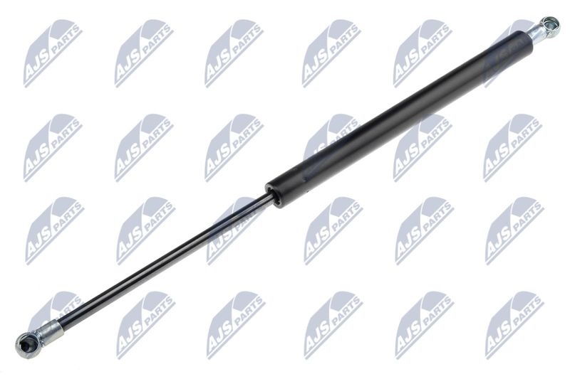 NTY AE-AR-003 Gas Spring, bonnet