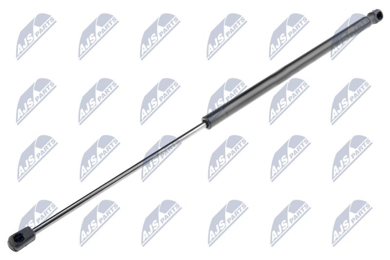 NTY AE-AR-005 Gas Spring, bonnet