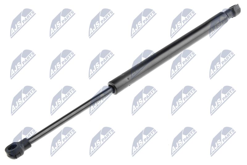 NTY AE-AR-007 Gas Spring, bonnet