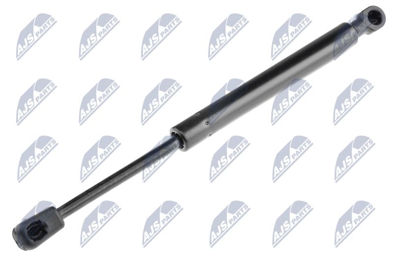 NTY AE-AU-010 Gas Spring, boot/cargo area