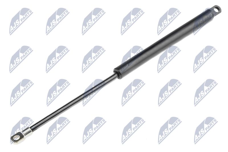 NTY AE-BM-000 Gas Spring, bonnet