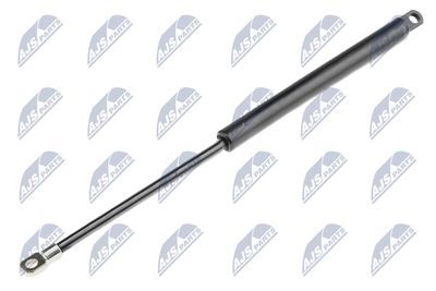 Gas Spring, bonnet NTY AE-BM-000