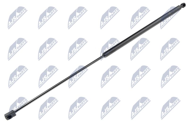 NTY AE-BM-002 Gas Spring, bonnet