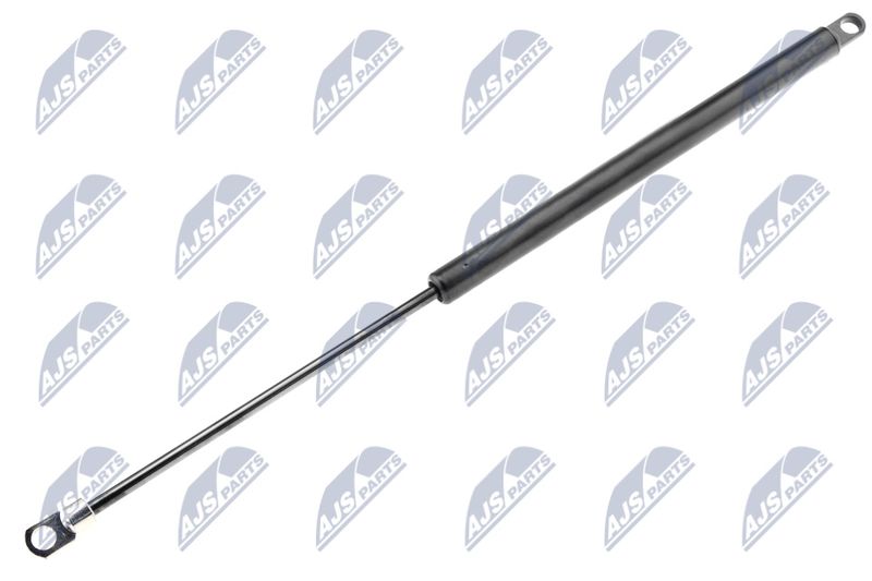 NTY AE-BM-005 Gas Spring, bonnet