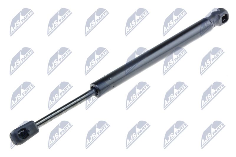 NTY AE-BM-009 Gas Spring, boot/cargo area