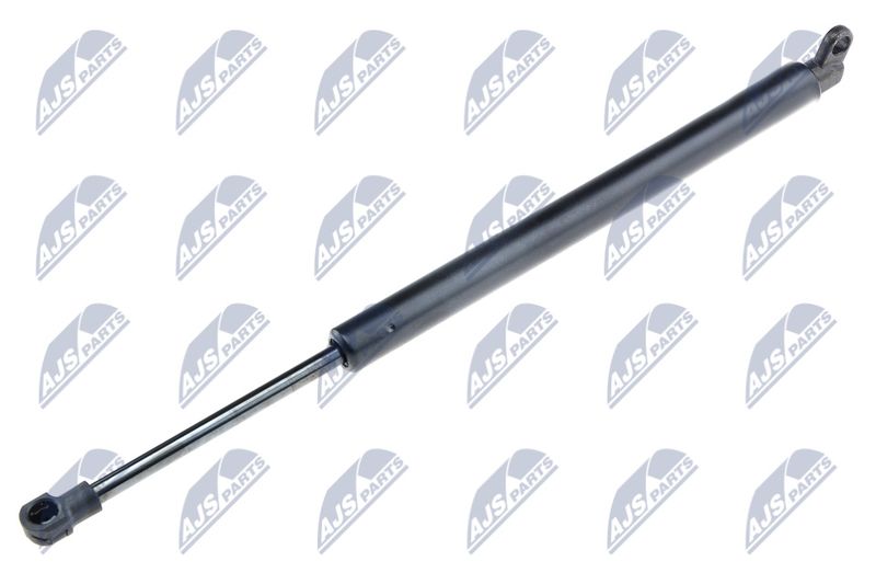 NTY AE-BM-010 Gas Spring, boot/cargo area