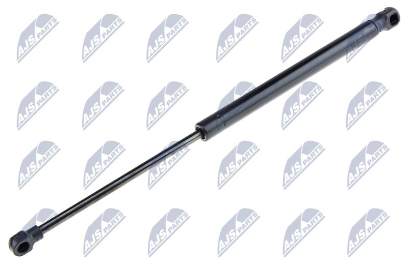 NTY AE-BM-013 Gas Spring, bonnet