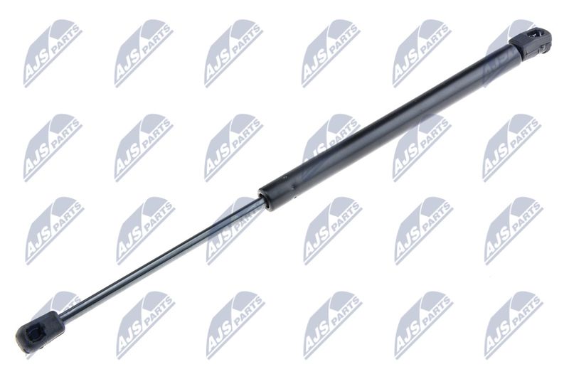 NTY AE-BM-024 Gas Spring, bonnet