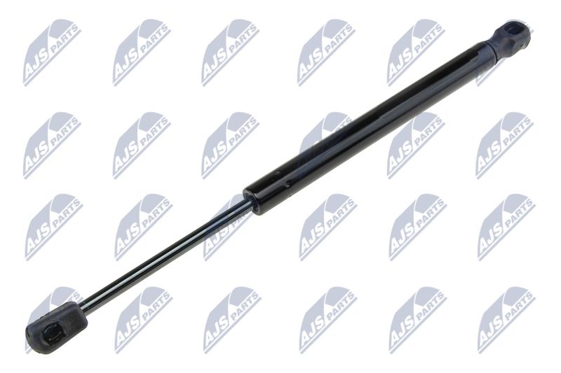 NTY AE-BM-025 Gas Spring, bonnet