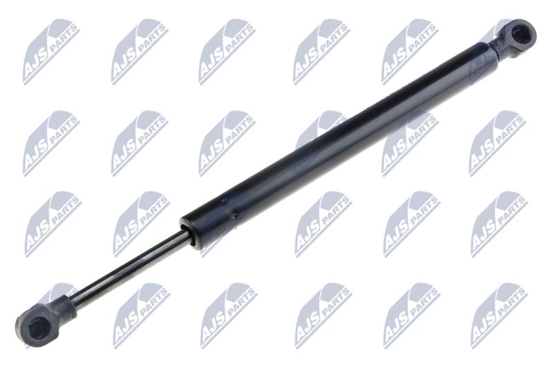 NTY AE-BM-035 Gas Spring, bonnet