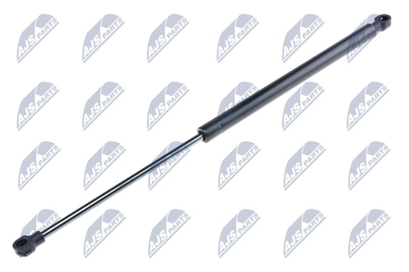 NTY AE-BM-041 Gas Spring, boot/cargo area