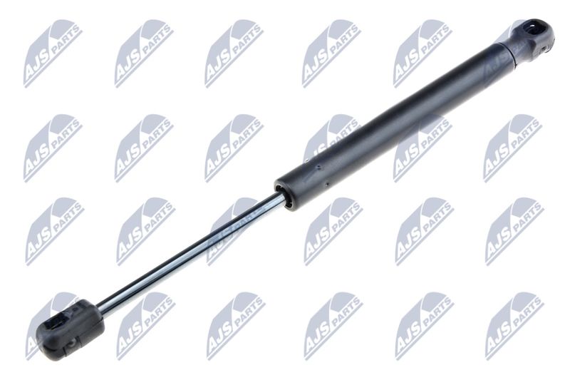 NTY AE-BM-050 Gas Spring, bonnet