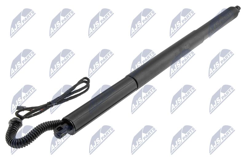 NTY AE-BM-080 Gas Spring, boot/cargo area