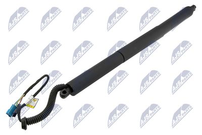 Gas Spring, boot/cargo area NTY AE-BM-098