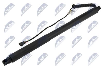 Electric Motor, tailgate NTY AE-BM-113