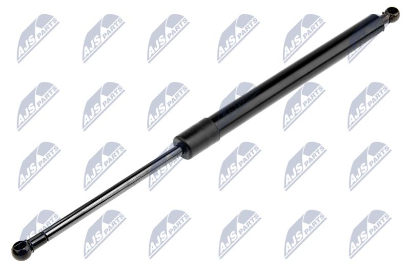 NTY AE-CH-002 Gas Spring, boot/cargo area