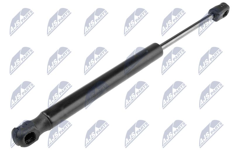 NTY AE-CH-005 Gas Spring, boot/cargo area