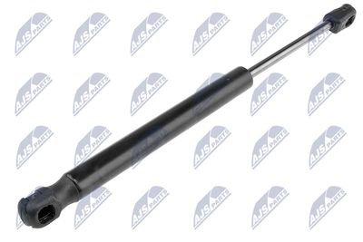 Gas Spring, boot/cargo area NTY AE-CH-005