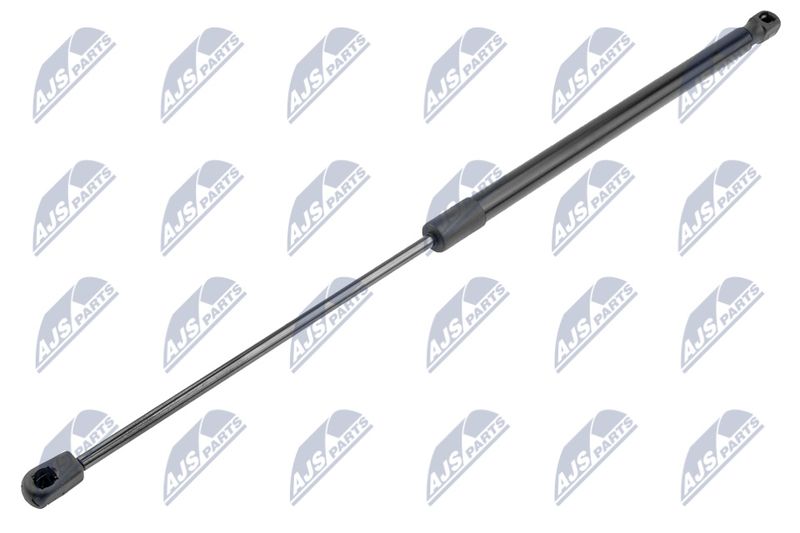 NTY AE-CH-009 Gas Spring, bonnet