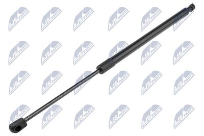 Gas Spring, boot/cargo area NTY AE-CH-012