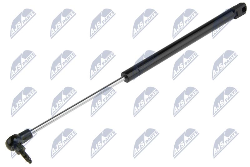 NTY AE-CH-019 Gas Spring, boot/cargo area