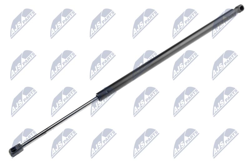 NTY AE-CH-024 Gas Spring, boot/cargo area