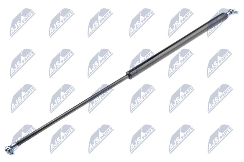 NTY AE-CH-028 Gas Spring, boot/cargo area
