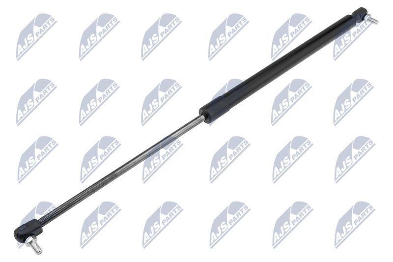 NTY AE-CH-045 Gas Spring, boot/cargo area
