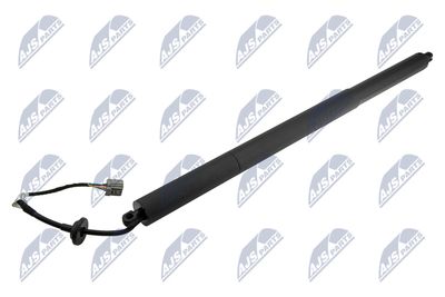 Gas Spring, boot/cargo area NTY AE-CH-049
