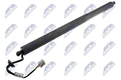 Electric Motor, tailgate NTY AE-CH-051