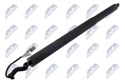 Electric Motor, tailgate NTY AE-CH-052
