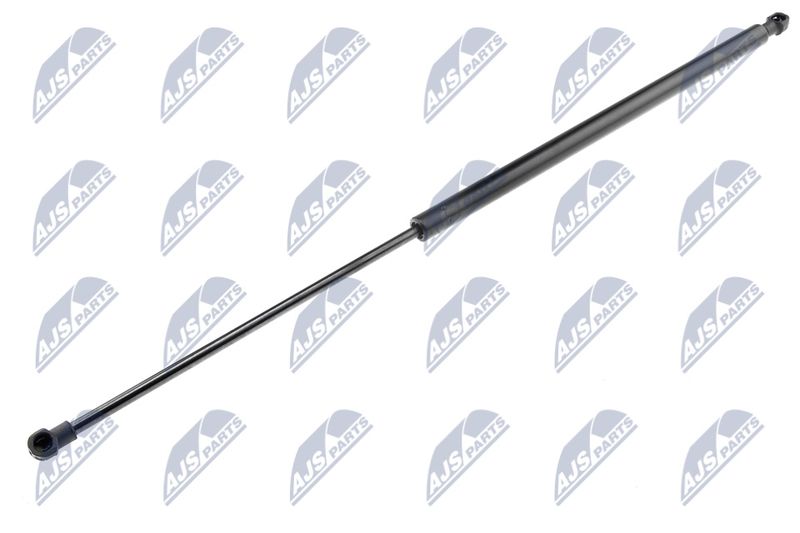 NTY AE-CT-000 Gas Spring, boot/cargo area