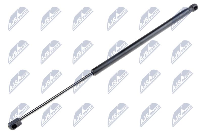 NTY AE-CT-004 Gas Spring, boot/cargo area