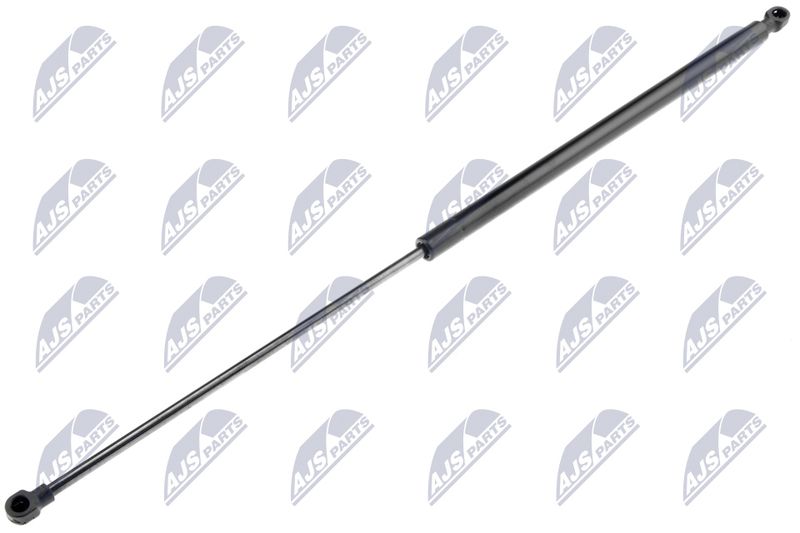 NTY AE-CT-009 Gas Spring, boot/cargo area
