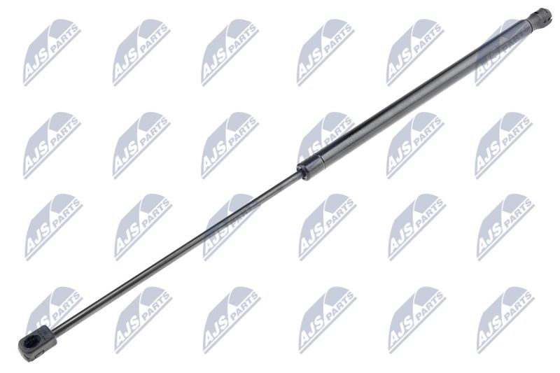 NTY AE-CT-010 Gas Spring, boot/cargo area