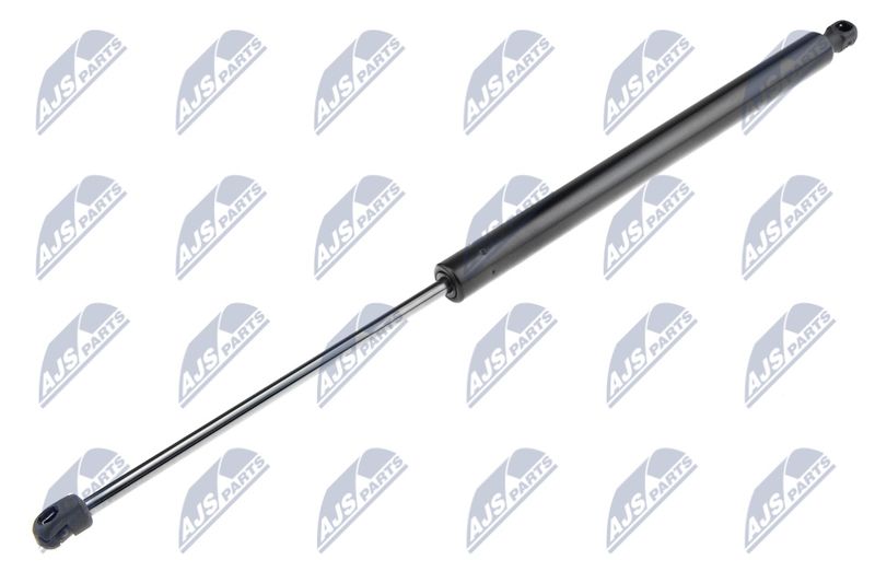 NTY AE-CT-019 Gas Spring, boot/cargo area