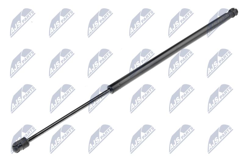 NTY AE-CT-021 Gas Spring, boot/cargo area