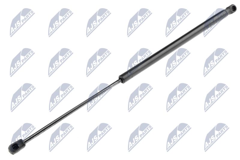 NTY AE-CT-025 Gas Spring, boot/cargo area