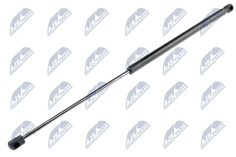 NTY AE-CT-028 Gas Spring, boot/cargo area