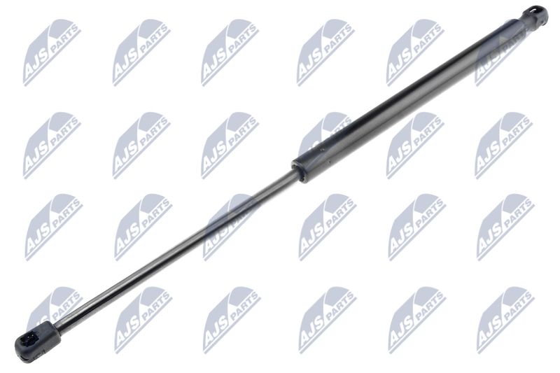 NTY AE-CT-031 Gas Spring, boot/cargo area