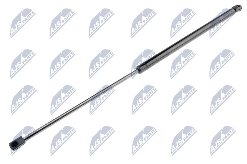 NTY AE-CT-038 Gas Spring, boot/cargo area