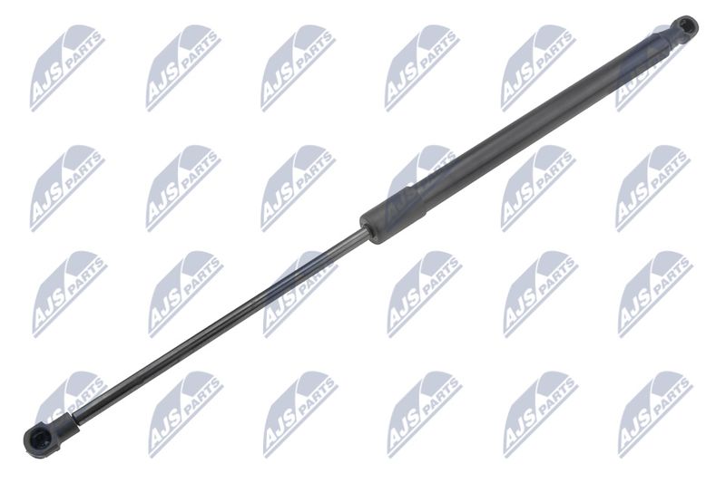 NTY AE-CT-050 Gas Spring, boot/cargo area