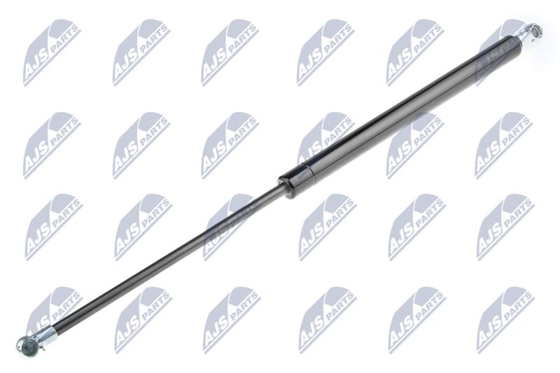 NTY AE-DW-000 Gas Spring, boot/cargo area