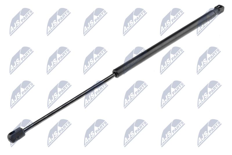 NTY AE-FR-000 Gas Spring, boot/cargo area