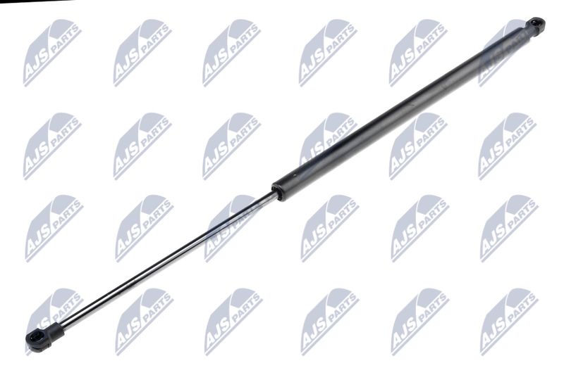 NTY AE-FR-001 Gas Spring, boot/cargo area