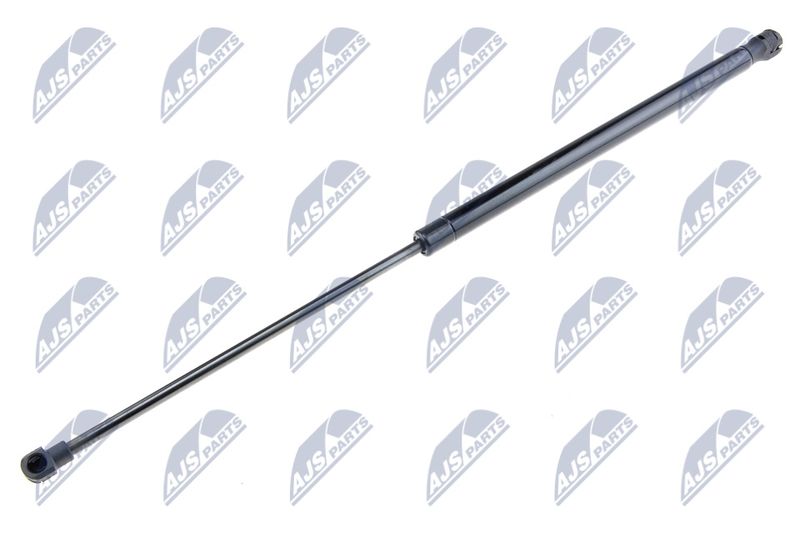 NTY AE-FR-003 Gas Spring, boot/cargo area